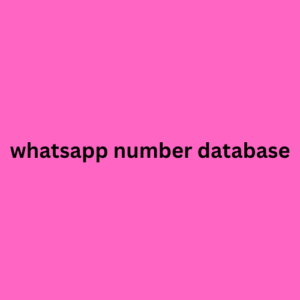 whatsapp number database